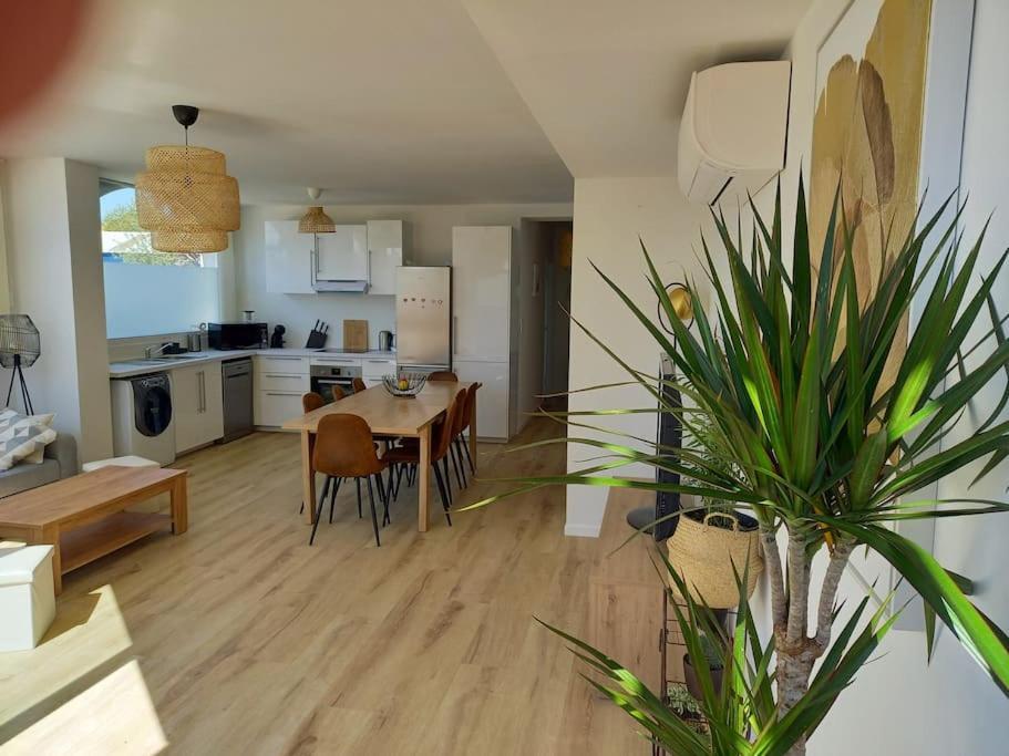 Appartement 100 M2 Terrasse Piscine Gruissan Extérieur photo