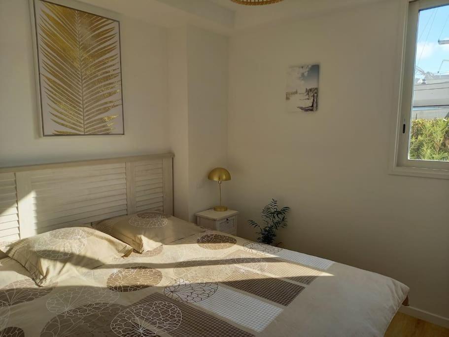 Appartement 100 M2 Terrasse Piscine Gruissan Extérieur photo